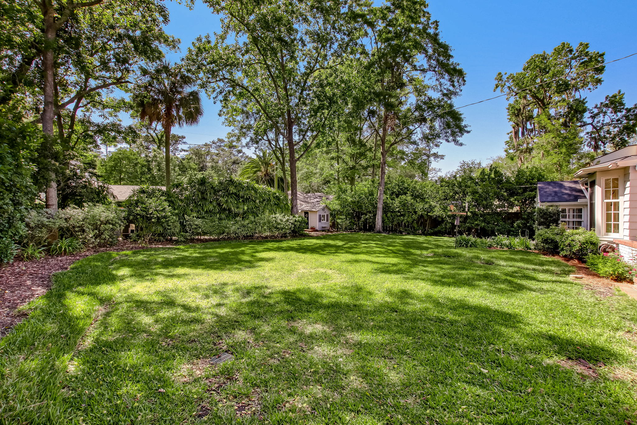 Back Yard