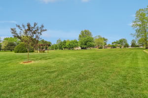 Ferguson Rd-0805-052.jpg