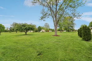 Ferguson Rd-0805-057.jpg