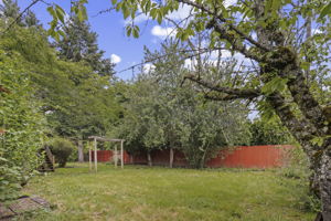  Photo 35