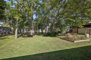 Oleander St-S0611-041.jpg