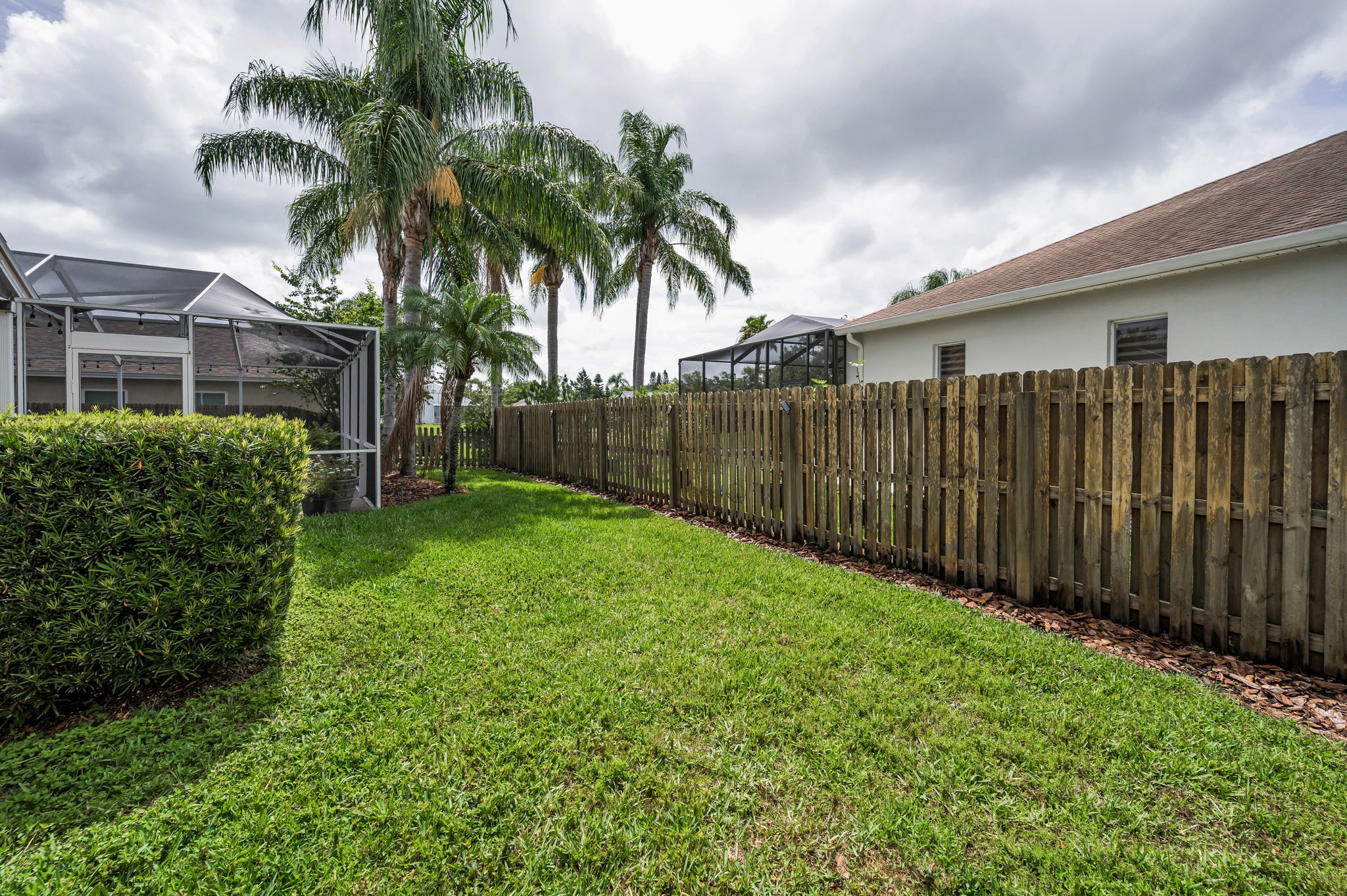 Backyard2
