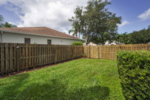 Backyard1