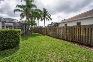 Backyard2