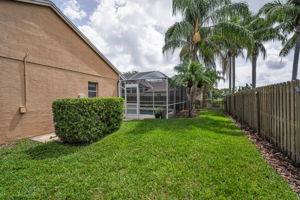 Backyard3