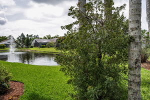 Backyard5 View