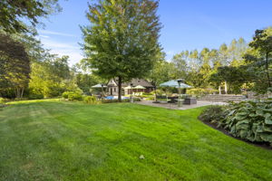 Backyard View