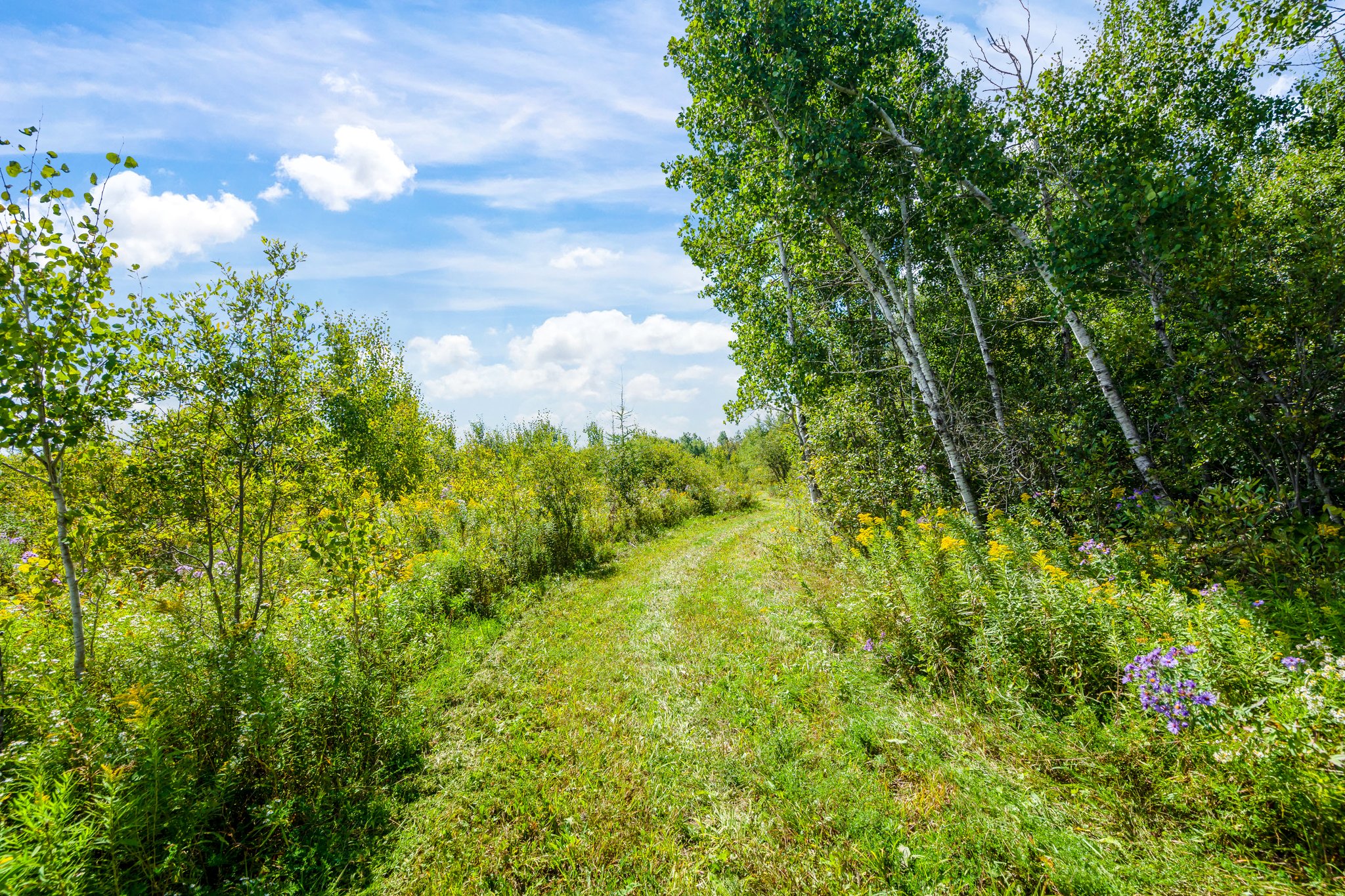 474396 3 Line, Shelburne, ON L0N 1S0, Canada Photo 88