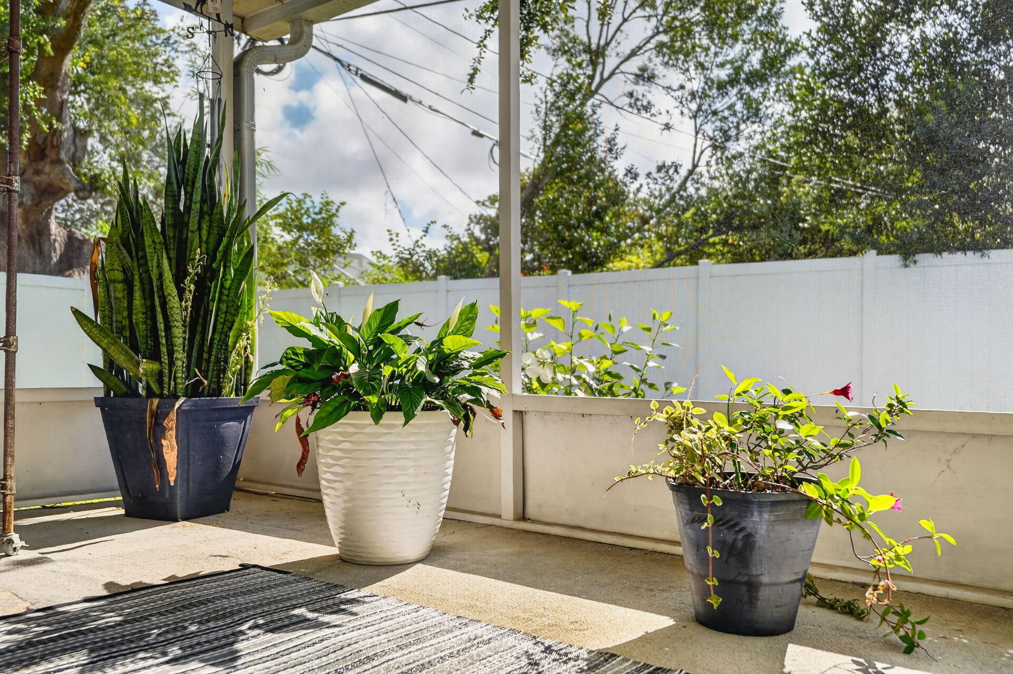 Screened Porch