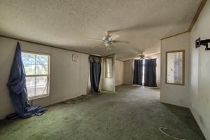  Photo 39