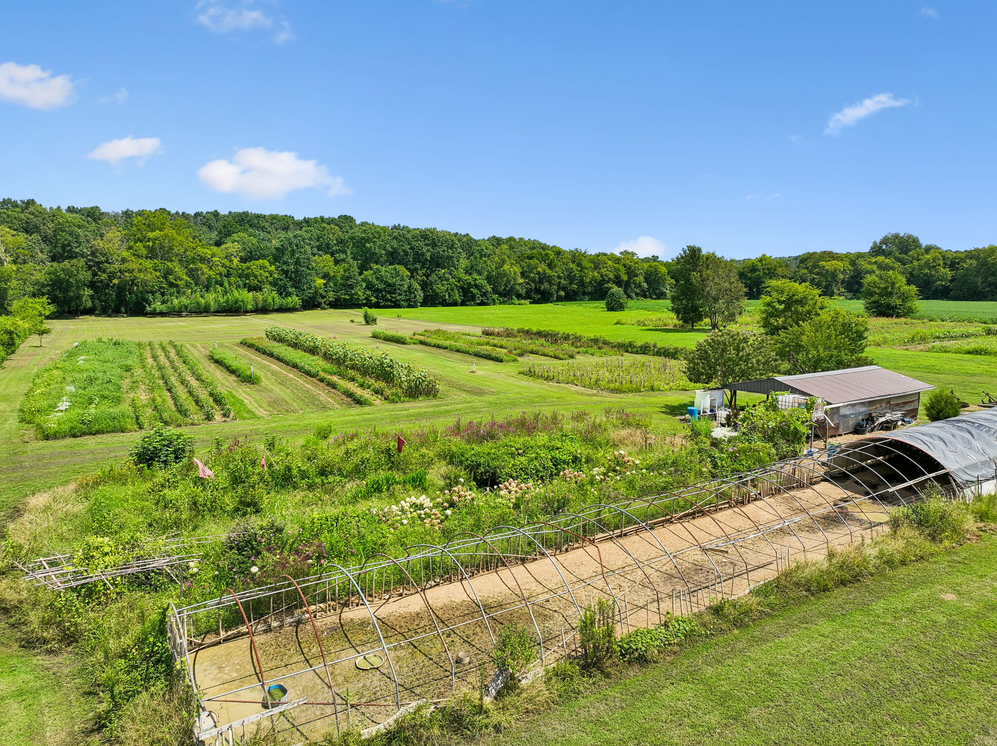  Photo 64