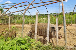  Photo 44