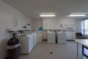  Photo 52