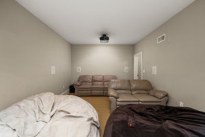 basement theater room