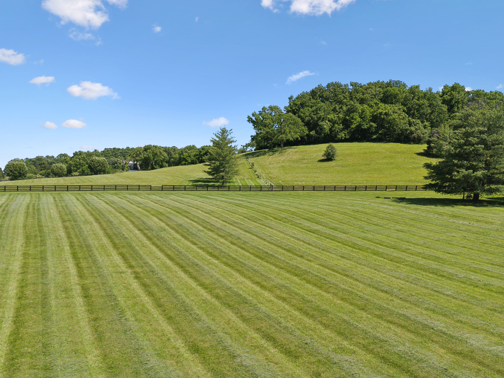 Beautiful Open Pastures