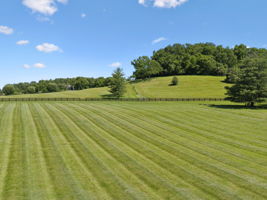 Beautiful Open Pastures
