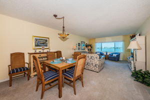 Dining & Living Room-2