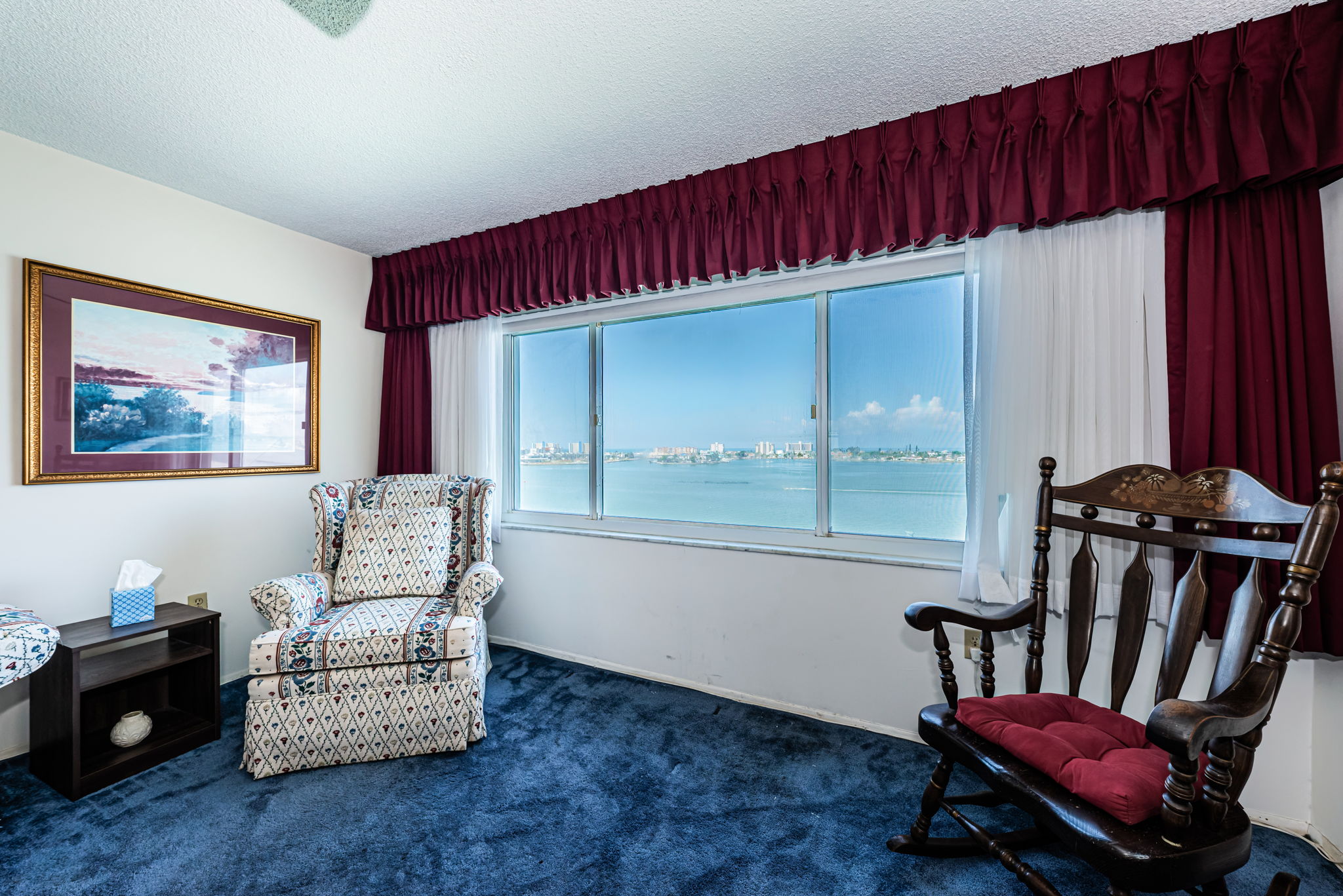 Living Room View