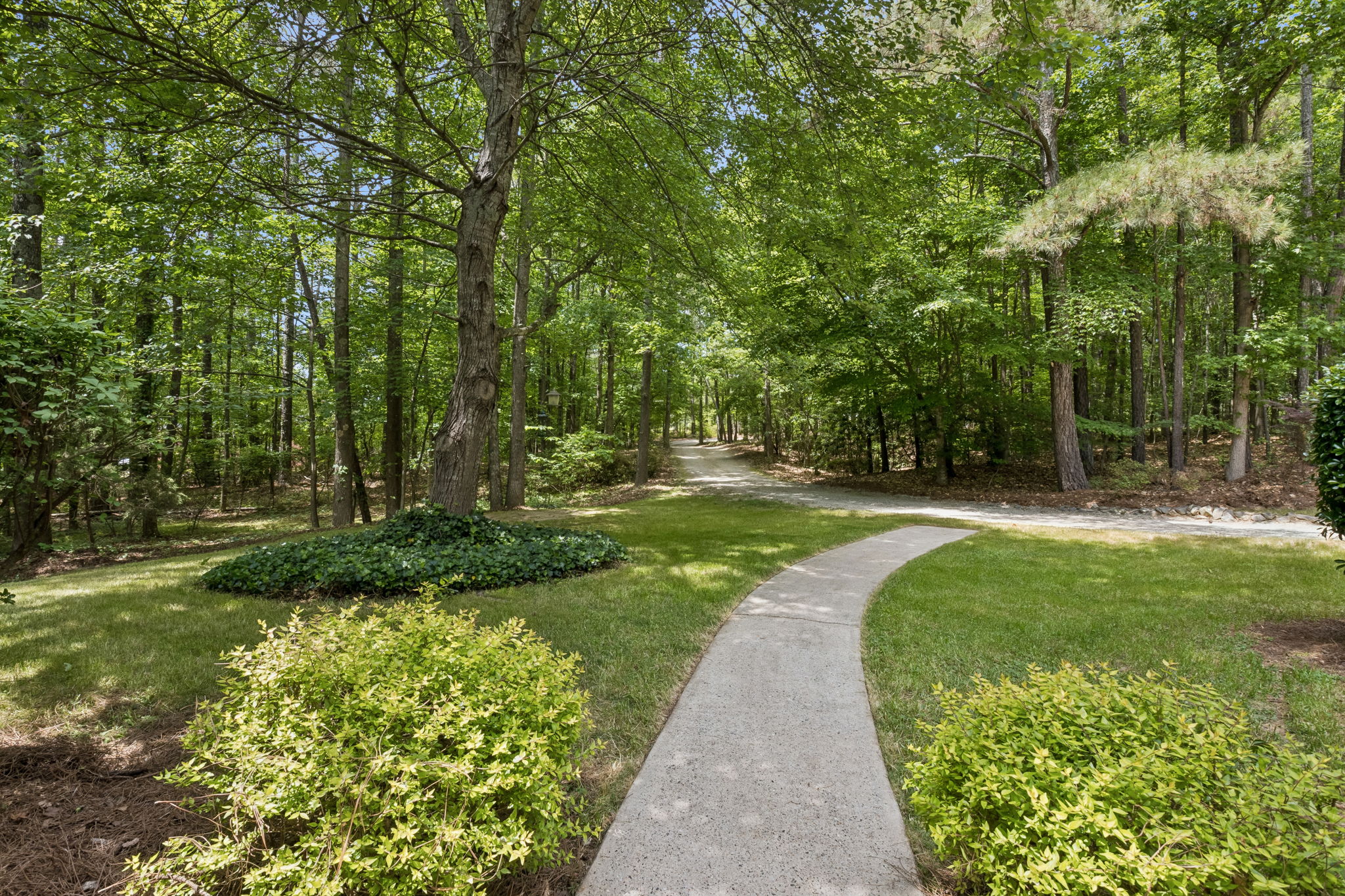 Front Yard View