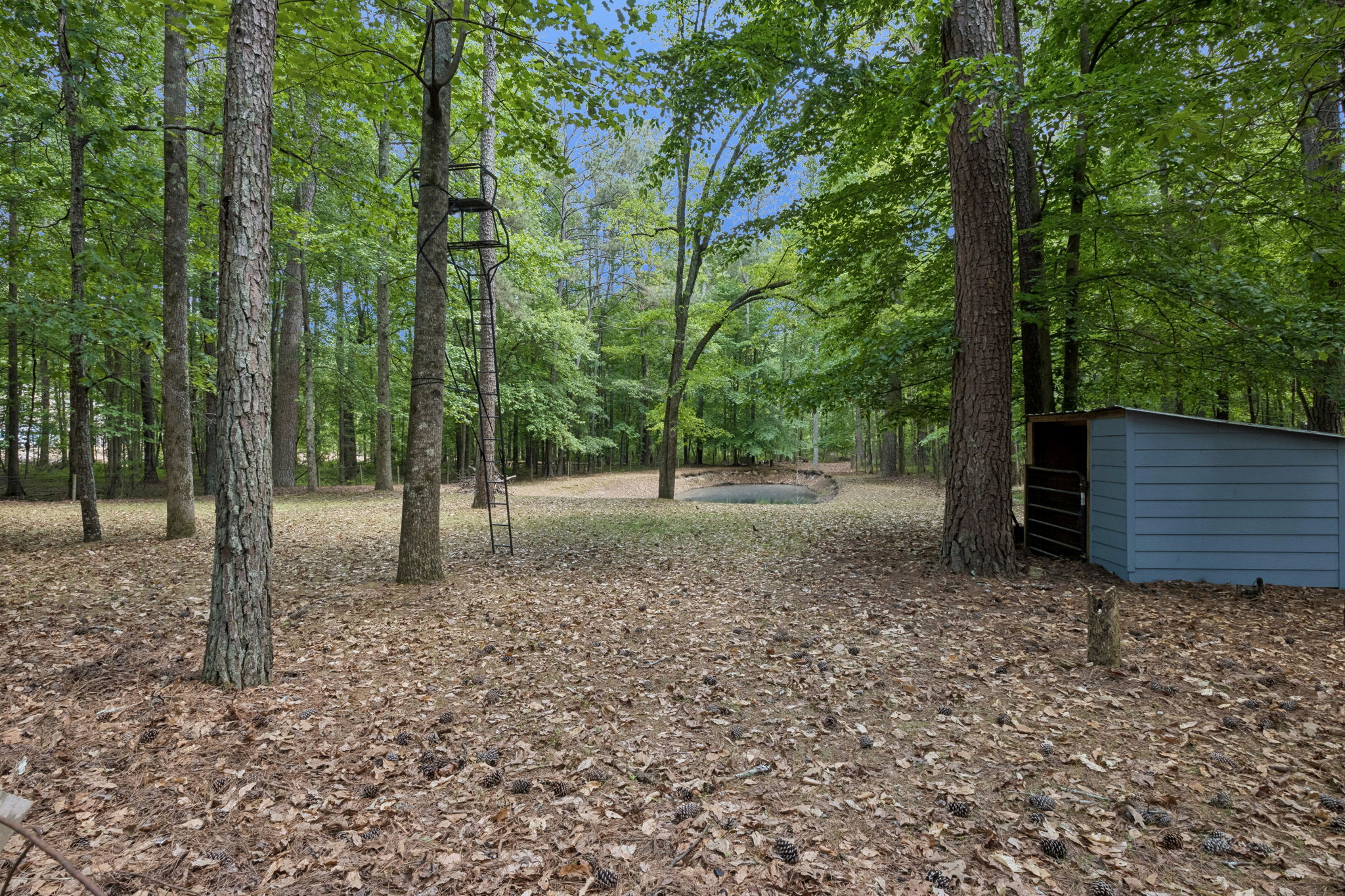 Acreage