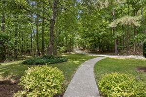 Front Yard View