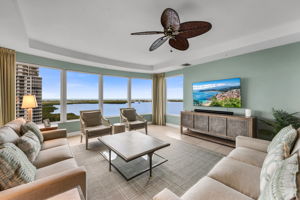 Living View 2