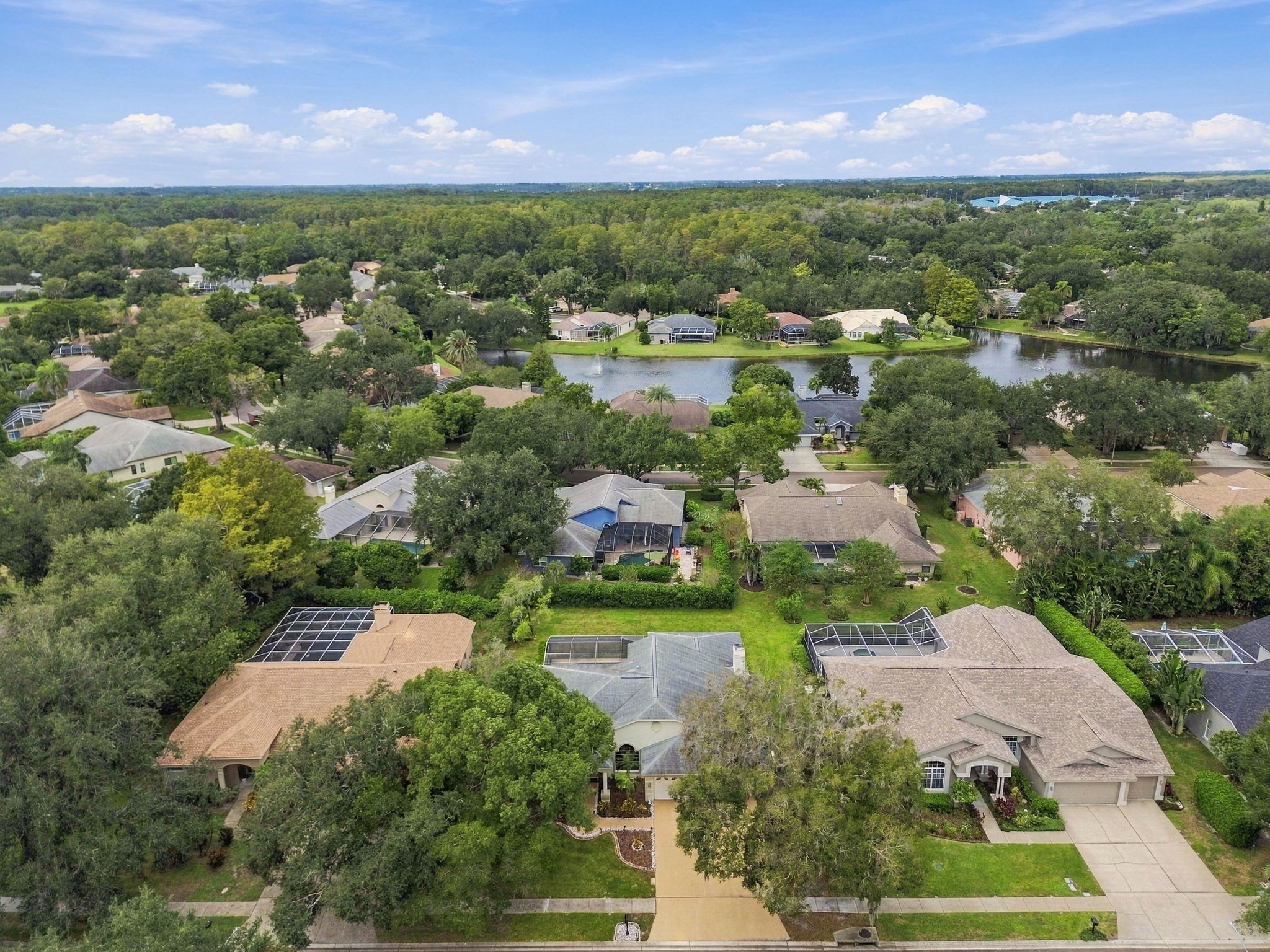 DJI_0647