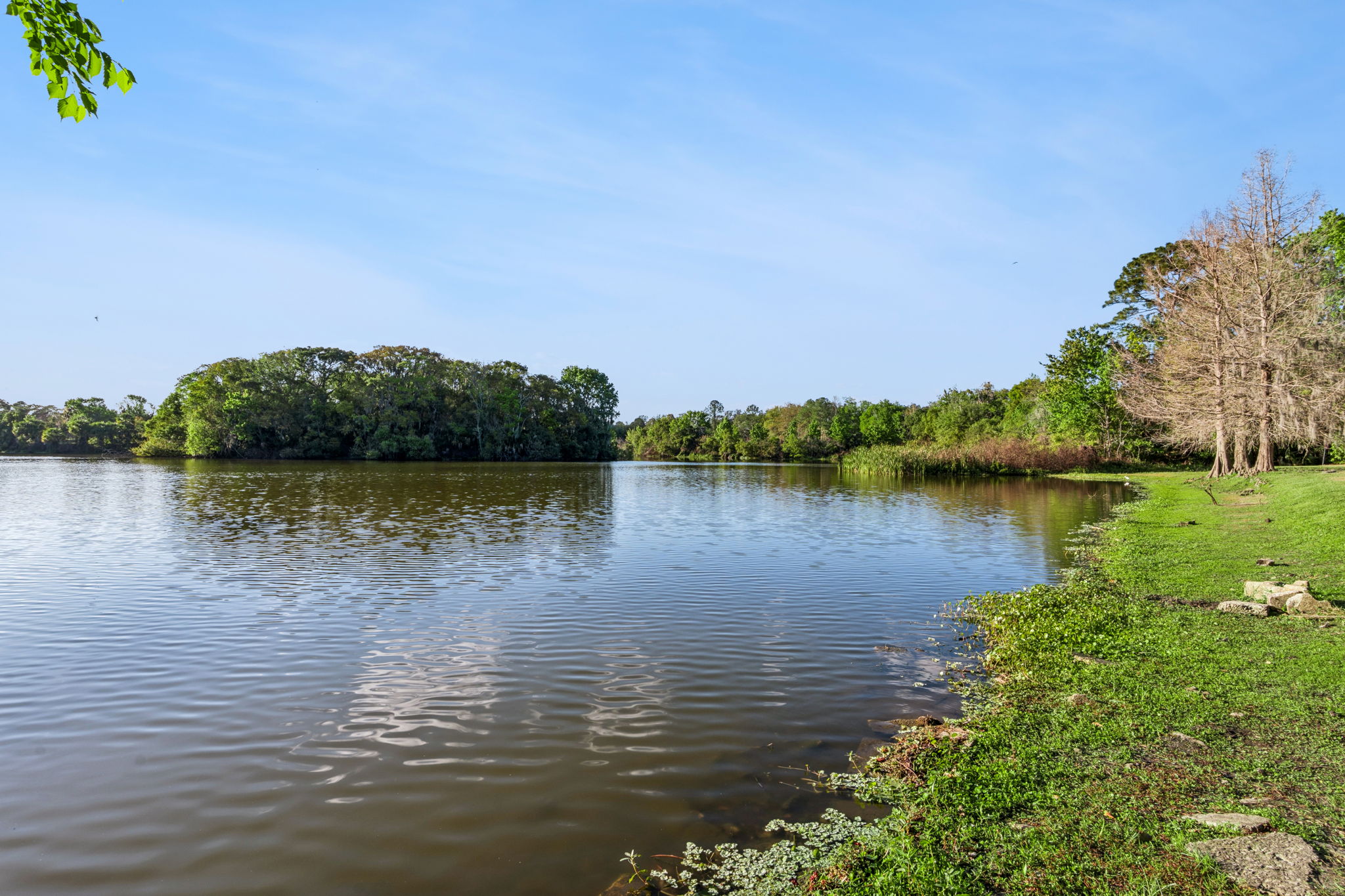 Community Park-Playground