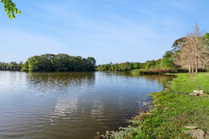 Community Park-Playground
