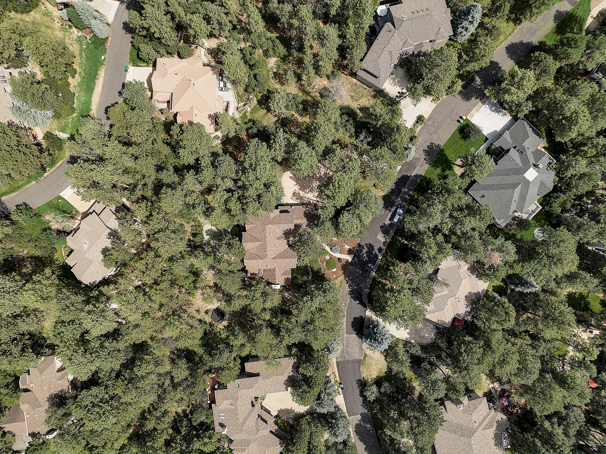 Silbrico Way-082