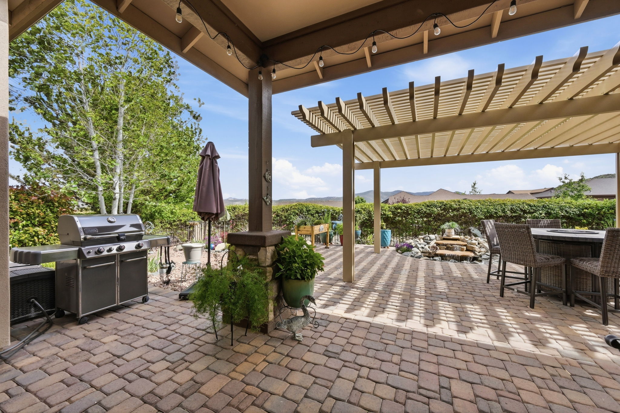 Back Patio (4)