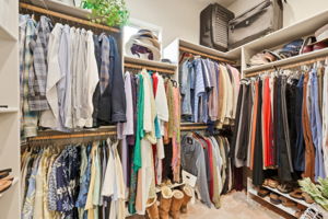 Primary Closet