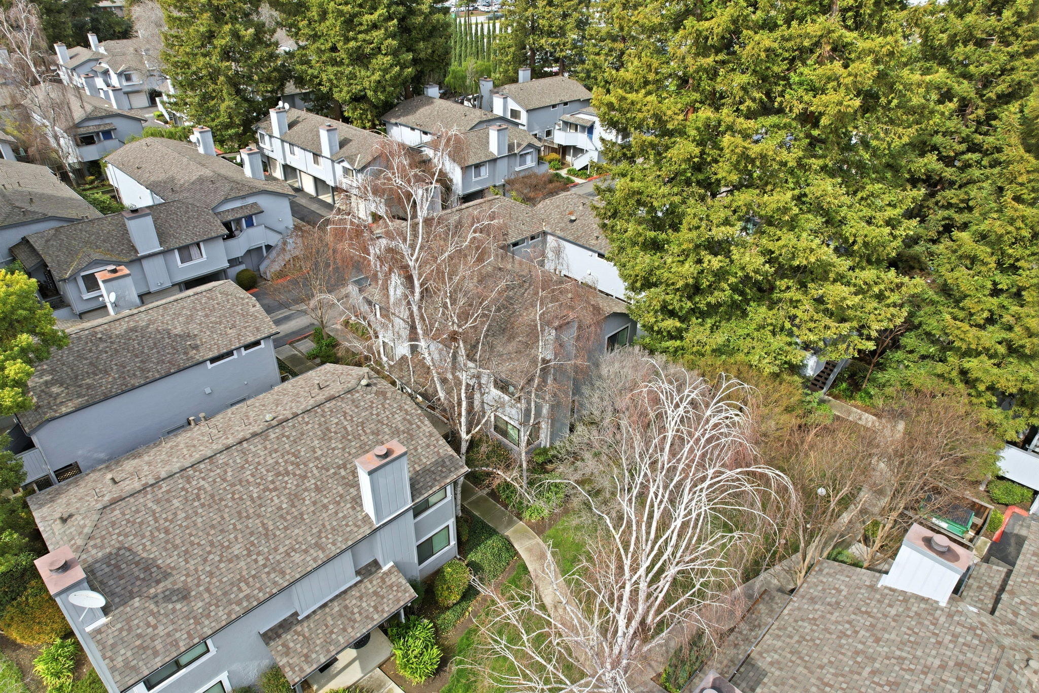 003_f8_AERIAL_477 Quail Bush Ct
