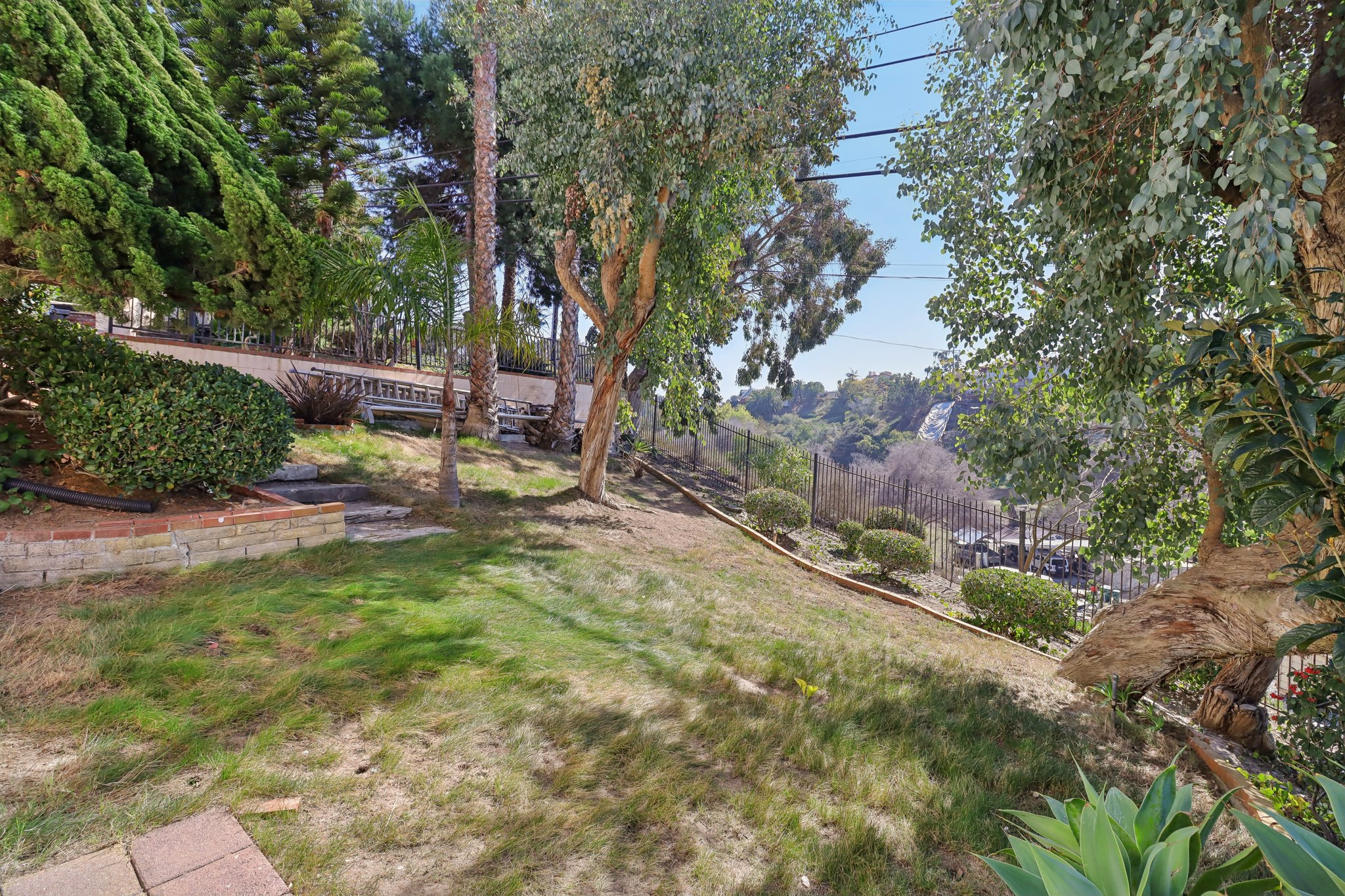 Jellett St-097.jpg