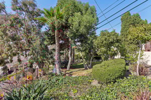 Jellett St-089.jpg