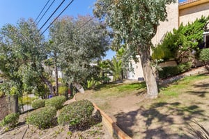Jellett St-095.jpg