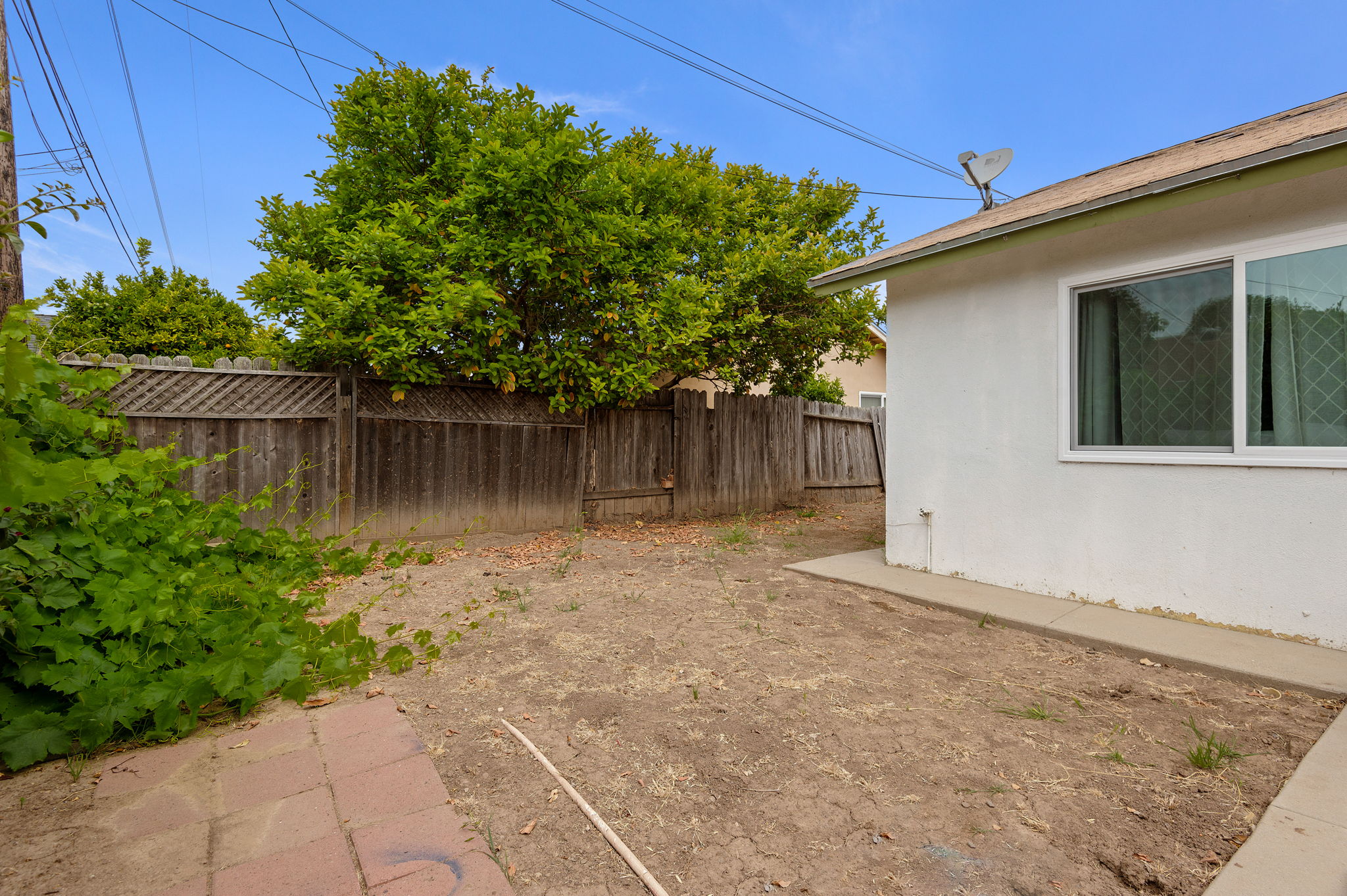 19 - Back Yard