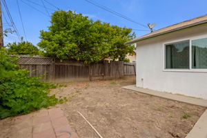 19 - Back Yard