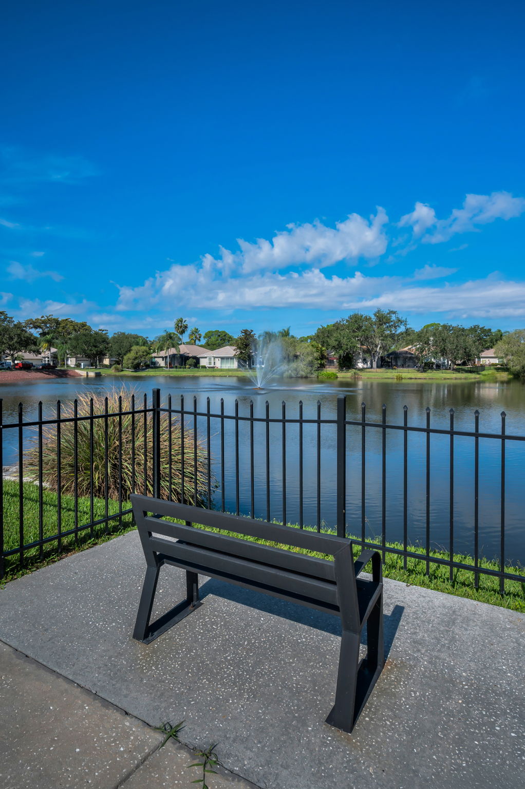 14-Cross Creek Common Area