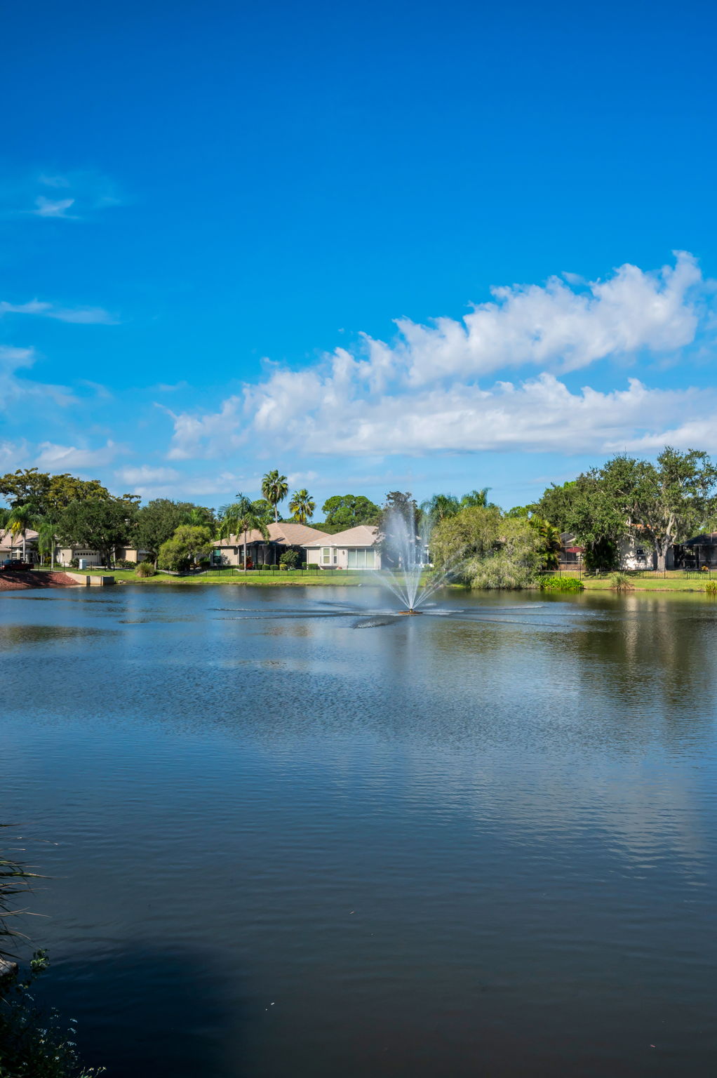 15-Cross Creek Common Area
