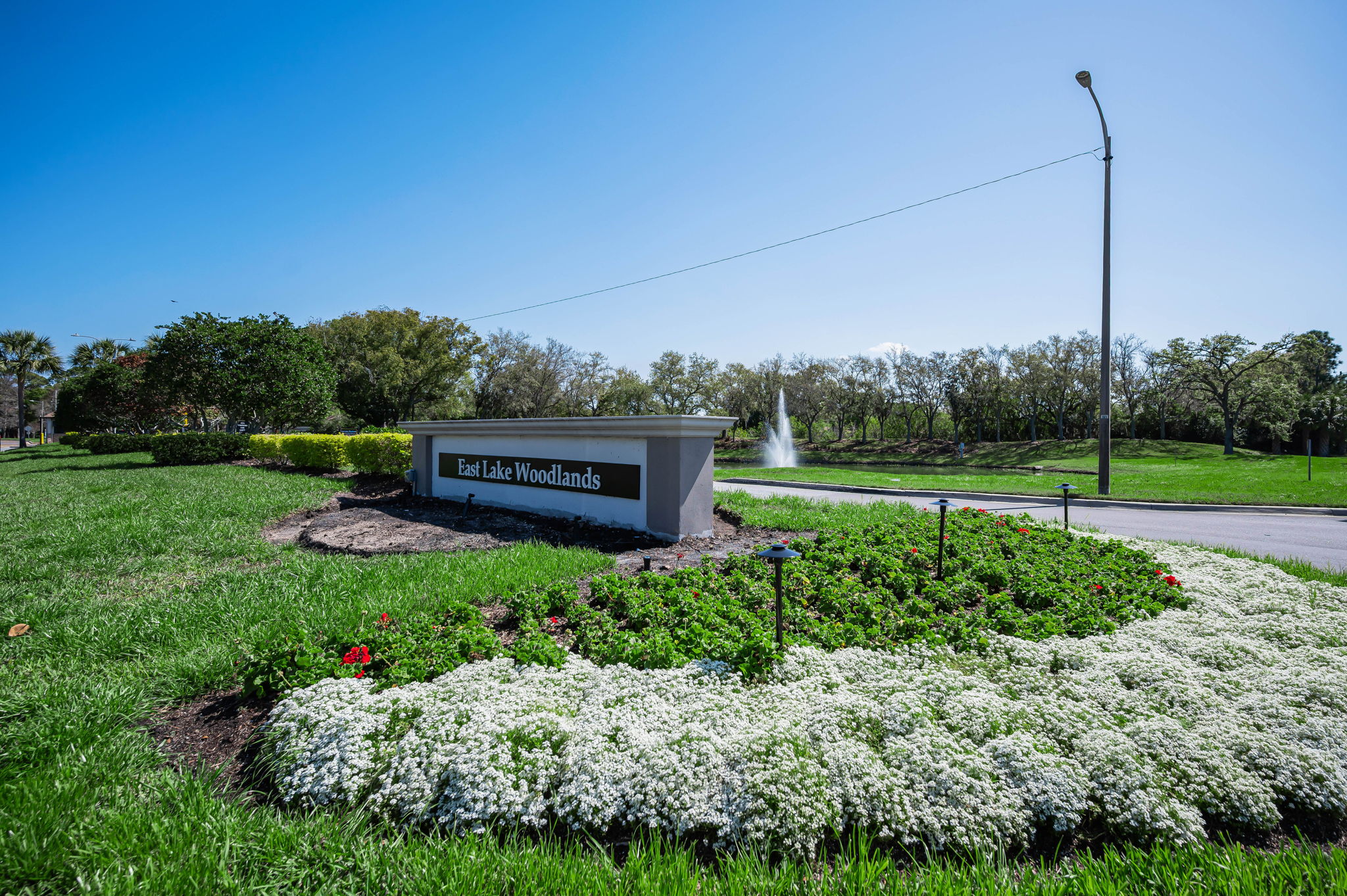 East Lake Woodlands Gated Entry1a