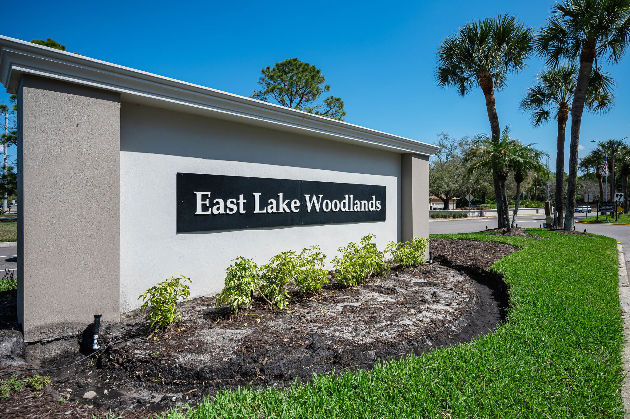 East Lake Woodlands Gated Entry2c
