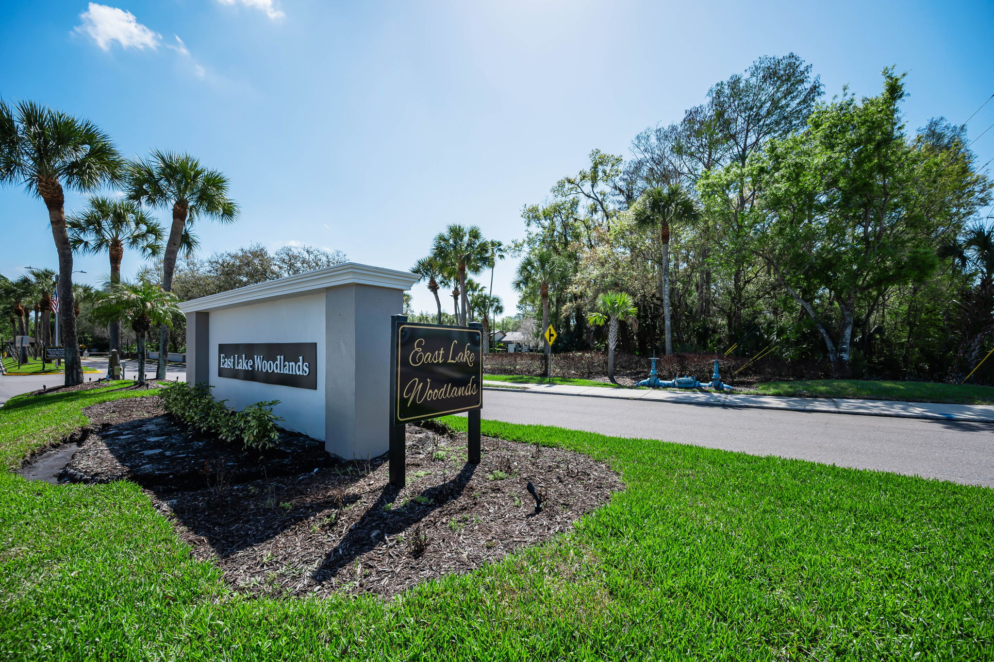 East Lake Woodlands Gated Entry2f