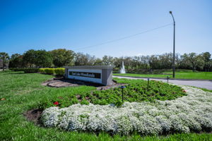 East Lake Woodlands Gated Entry1a