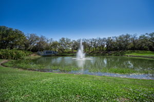 East Lake Woodlands Gated Entry1b