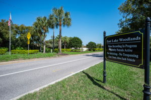 East Lake Woodlands Gated Entry1d