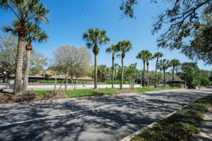 East Lake Woodlands Gated Entry2d