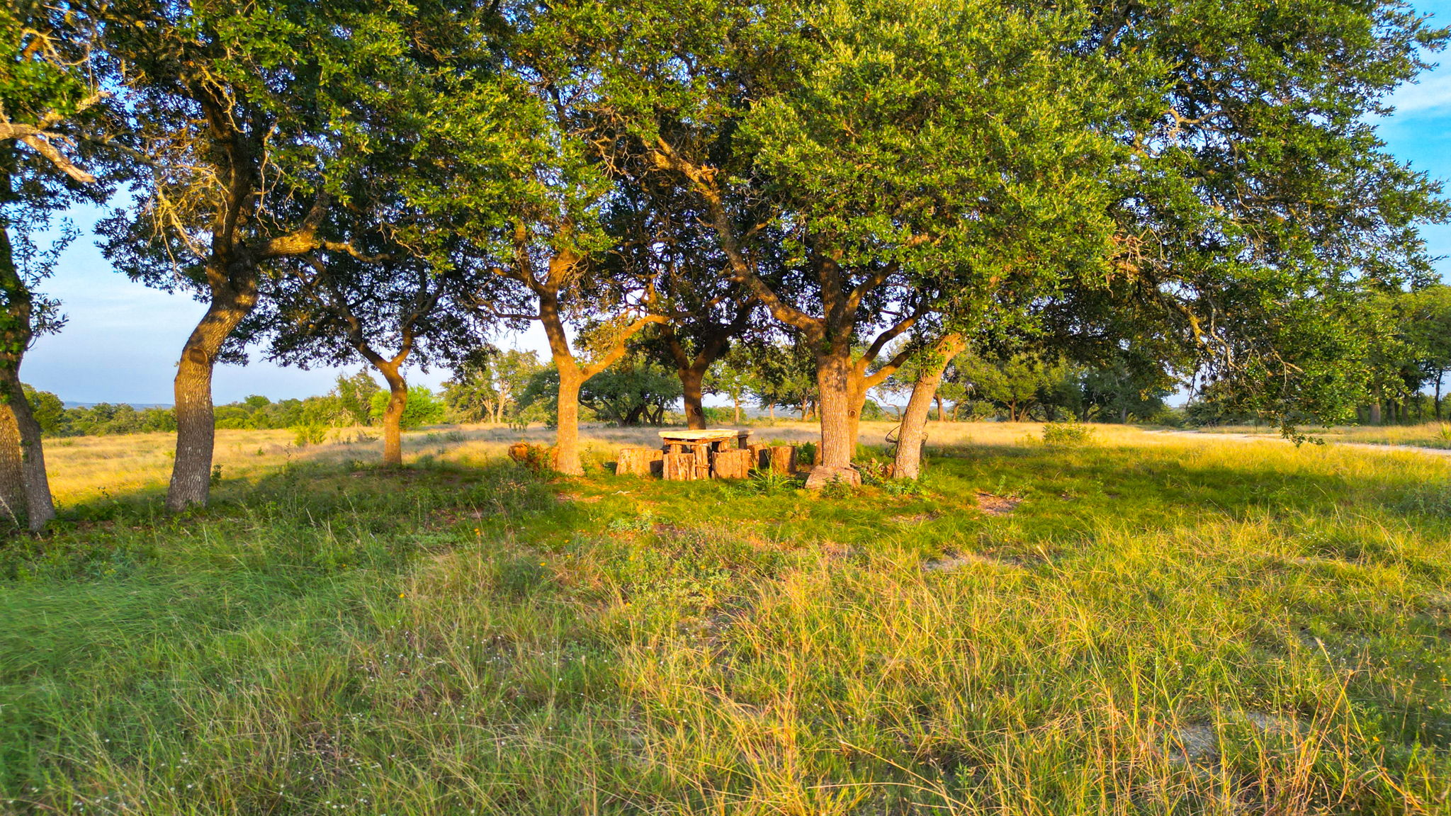  Photo 44