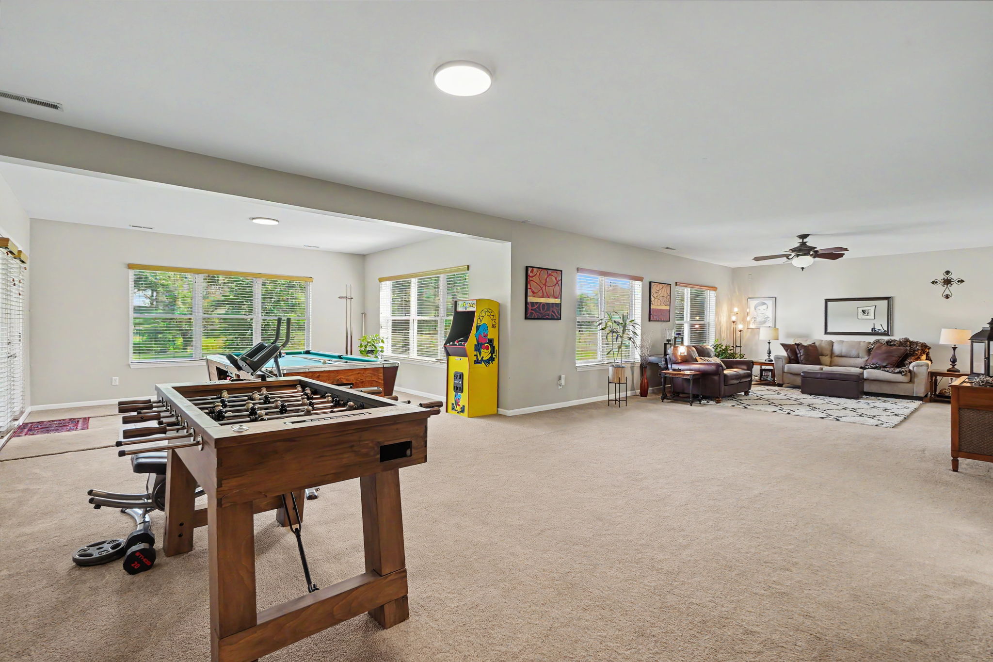 Finished recreation room in the lower level