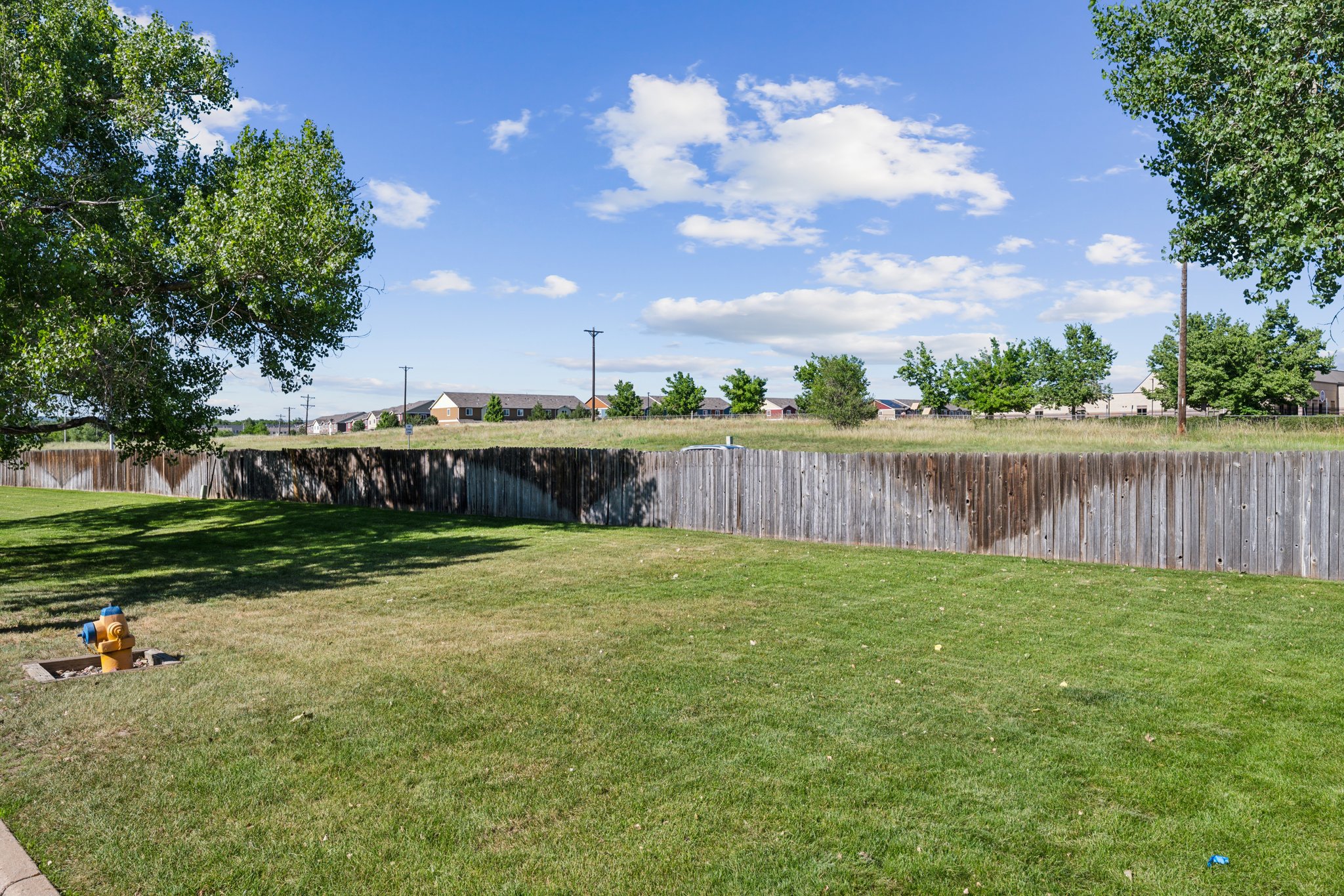 BCM_0811.jpg